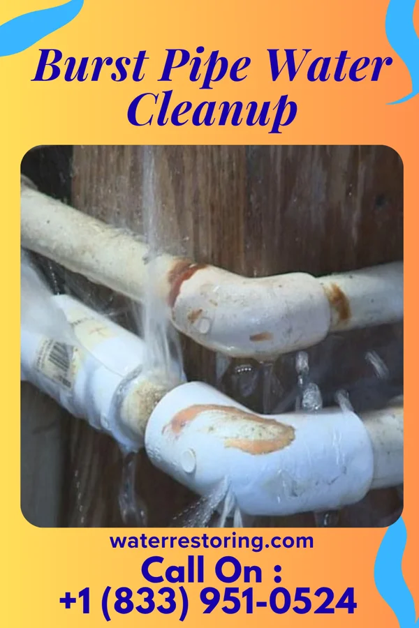 Burst Pipe Water Cleanup in Williams Creek, IN