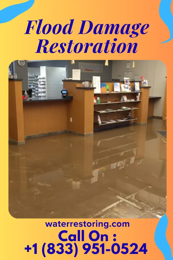 Flood Damage Restoration in Williams Creek, IN