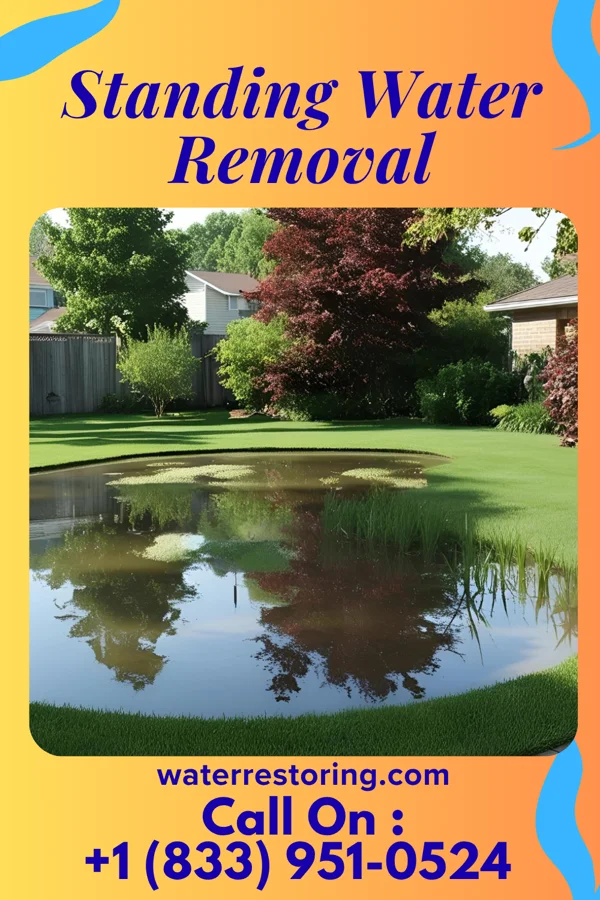 Standing Water Removal in Williams Creek, IN